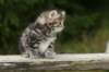 img_5399_small.jpg