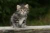 img_5400_small.jpg