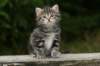 img_5401_small.jpg