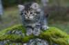 img_6915_small.jpg