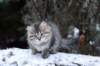 img_0026_small.jpg