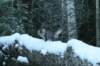img_0039_small.jpg