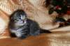 img_2536_small.jpg