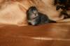 img_2537_small.jpg
