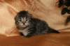 img_2538_small.jpg