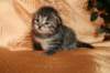 img_2540_small.jpg