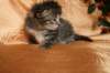 img_2541_small.jpg