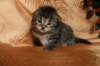 img_2543_small.jpg