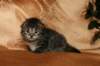 img_2547_small.jpg