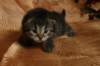 img_2568_small.jpg