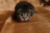 img_2569_small.jpg
