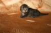 img_2591_small.jpg