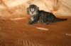 img_2592_small.jpg