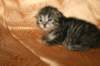 img_2607_small.jpg