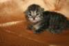 img_2608_small.jpg