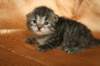img_2610_small.jpg