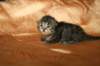 img_2616_small.jpg