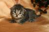 img_2629_small.jpg
