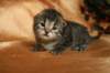 img_2634_small.jpg