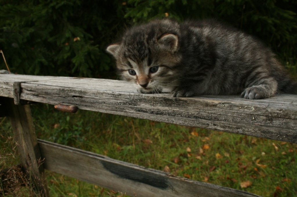 img_3899.jpg