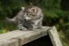 img_5408_small.jpg