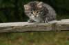 img_5413_small.jpg