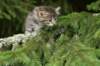 img_5435_small.jpg
