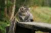 img_5456_small.jpg