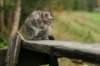 img_5457_small.jpg