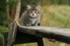 img_5461_small.jpg