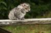 img_5489_small.jpg