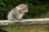 img_5490_small.jpg
