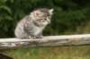 img_5491_small.jpg