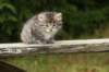 img_5492_small.jpg
