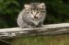 img_5493_small.jpg