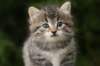 img_5500_small.jpg