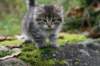 elielboy65weeks8102012_small.jpg