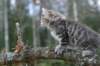 img_6883_small.jpg