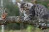 img_6891_small.jpg