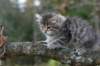 img_6892_small.jpg