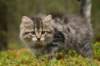 img_7893_small.jpg