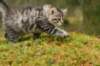 img_7894_small.jpg