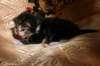 img_2286_small.jpg