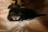 img_2287_small.jpg