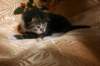 img_2288_small.jpg