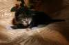 img_2289_small.jpg
