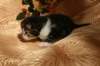 img_2294_small.jpg