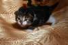 img_2298_small.jpg