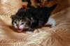 img_2299_small.jpg