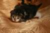 img_2301_small.jpg